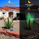 Large Tequila Rustic Sculpture, Rustic Metal Agave Plants for Outdoor Patio Yard, Home Decor Hand Painted Metal Agave Garden Yard Statue, Outdoor Lawn Ornaments (Black - L (W/Solar Light)) by CozyNest Decor