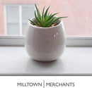Milltown Merchants Succulent Wall Planter - Black Ceramic Wall Mounted Planter - Succulent Plant Pot - Hanging Vase for Living Wall (1 Pack/Modern/White) by GreenHaven Gardens