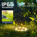 SOLPEX 16 Pack Solar Ground Lights Outdoor Waterproof, Solar Powered Pathway Lights, Landscape Lighting for Garden Walkway Driveway Backyard Decor (Warm White) by GreenHaven Gardens