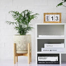 8 Inch Plant Pot with Stand, Ceramic Planter with Drainage Holes, Saucers and Mesh Pads for Indoor-Outdoor Plants by CozyNest Decor