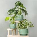 G EPGardening Ceramic Planter - 9 Inch Plant Pot with Drainage Hole and Saucer, Modern Round Planter, Flower Pot for Indoor Outdoor Plants, Garen House Room Decor, Housewarming Gifts, Green by GreenHaven Gardens