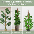 63'' Bendable Moss Pole Monstera Plant Support for Climbing Indoor Plants - Stakes for Potted Climbers - Tall Sticks Indoor Trellis for Houseplants - Accessories for Monstera Pot by GreenHaven Gardens