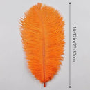 THARAHT Orange Ostrich Feathers 24pcs Natural Bulk 10-12Inch 25cm-30cm for Crafts Wedding Party Centerpieces Halloween and Home Decoration Feathers by CozyNest Decor