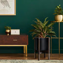 D'vine Dev Planter Pot with Stand - 8 Inch Plastic Cylinder Flower Pot with Wood Planter Holder for Indoor, Matte Black Pot + Walnut Color Stand, 55-C-I-2 by GreenHaven Gardens