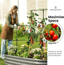 KING BIRD Raised Garden Bed with Wall Trellis Galvanized Planter Garden Box Outdoor for Gardening, Climbing Vegetables, Flowers 5.9x2.95x0.98 Ft, Dark Grey by GreenHaven Gardens