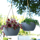 12 Inch 2 Pack Large Hanging Planters for Indoor Outdoor Plants, Plastic Hanging Basket Pots for House Plants Flowers, Grey by GreenHaven Gardens