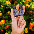 Edens Garden Calming The Mind Essential Oil Blend, 100% Pure & Natural Best Recipe Therapeutic Aromatherapy Blends- Diffuse or Topical Use 10 ml by CozyNest Decor