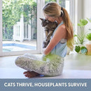 The Cat Ladies Cat Grass Growing kit with Organic Cat Grass Seed, Soil and Two Ceramic Planters with Bamboo Trays Natural Hairball Remedy by GreenHaven Gardens
