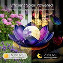 Huaxu Solar Lights for Outdoor Decor, Purple Lotus Flower Light, Waterproof LED Crackle Globe Glass Lamp for Garden, Patio, Yard, Porch, Pathway, Ground, Tabletop Christmas Gifts for Mom,Women by GreenHaven Gardens