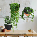 GARDIFE Hanging Planter, 10 inch Hanging planters for Indoor. Outdoor Plants, Self Watering Plant Pot, 2 Pack Large self Watering Hanging Planter, Black by CozyNest Decor