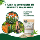 BuildASoil Fertilizer for Vegetable Garden and Ogranic Plant Food | Hand-Crafted Organic Fertilizer with 15 Premium Ingredients | Ensures Larger Plants and More Fragrant Flowers (10 LB - Medium Bag) by GreenHaven Gardens