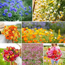 Eden Brothers Field Day Flower Mixed Seeds for Planting, 1/4 lb, 120,000+ Seeds with Zinnia Lilliput, Calendula Mix | Attracts Pollinators, Plant in Spring or Fall, Zones 3, 4, 5, 6, 7, 8, 9, 10 by GreenHaven Gardens