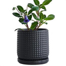 D'vine Dev 6 Inch Ceramic Beaded Stoneware Planter Pot - Flower Pot with Drainage Holes and Saucers for Indoor Succulent Plants or Flowers, Ebony Matte, 27-C-X-6 by GreenHaven Gardens