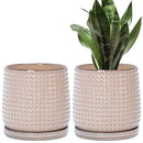 D'vine Dev Set of 2 Ceramic Plants Pots, 6 Inch Beaded Stoneware Flower Pot for Plants with Drainage Hole and Saucer, Light Brown, 27-E-X-4 by GreenHaven Gardens