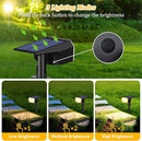 Solar Spot Lights Outdoor, 59 LED Solar Lights Outdoor Waterproof, Outdoor Solar Lights for Yard with 3 Lighting Modes, Landscape Spotlights for Garden Pathway Driveway, Warm White by GreenHaven Gardens