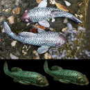 Garden Sculptures & Statues,Koi Fish Decor,Garden Fish Art,Set of 2 Antique Koi Fish Yard Art Decor for Outdoors,Patio,Yard,Lawn,Pond,Home Decoration (Bronz) by GreenHaven Gardens