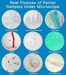 Microscope Slides with Specimens for Kids, 60 Lab-Grade Prepared Microscope Slides, Animal/Plant/Microbe/Tissue Samples, STEM Biology Kit for Homeschool, Classroom Labs & Science Education by TinyTreasures Baby Boutique