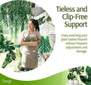 Stackable Plant Support Stakes, Stem Holder Structure for Indoor & Outdoor Use, Garden Accessories for Climbing & Potted Plants, Trellis Alternative - Monstera (Dark Green), 10 Pack, 17" L by GreenHaven Gardens