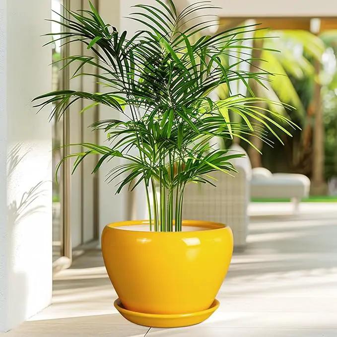 Ceramic Planter - 10 Inch Plant Pot for Indoor Outdoor Plants Glaze Modern Round Planter with Drainage Hole and Saucer for Garden Office Home Room Patio Decor, Yellow, photo 4 of 7