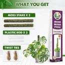 DUSPRO Stackable Mesh Moss Pole for Plants Monstera Potted Plant Stakes for Indoor Plants Extendable Plant Pole Moss Sticks for Plants Climbing Vine Supporting Monstera Trellis 2 Pcs 22'' by GreenHaven Gardens