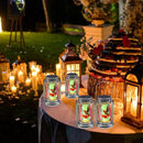 Hummingbird Solar Lanterns Outdoor Waterproof Hanging,2 Pack Outdoor Solar Lanterns,Gifts for Mom Women Men Decorative LED Lanterns for Yard, Patio, Lawn, Tabletop, Pathway, Landscape, Garden by GreenHaven Gardens