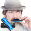 SWAN Blues Harmonica Key of C Mouth Organ Diatonic Harmonica with Case, 10 Hole 20 Tones Stainless Blues Harp for Adults, Beginners and Professional (Sapphire Blue) by TinyTreasures Baby Boutique