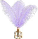THARAHT Lavender Ostrich Feathers 12pcs Large Natural Bulk 16-18Inch 40cm-45cm for Wedding Party Centerpieces Easter Gatsbi and Decoration Feather by CozyNest Decor
