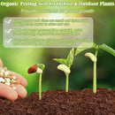 ZeeDix 100 Pcs 40mm Organic Coco Coir Pellets, Compressed Coconut Coir Seed Starter Expanding Soil Discs Potting Soil Dirt Pellets for Planting Bonsai, Herbs, Plants, Flowers and Vegetables by GreenHaven Gardens