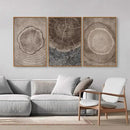 SIGNINART Beige Tree Ring Framed Canvas Wall Art Set, Abstract Black and White Rustic Wood Wall Decor, Neutral Wood Stump Artwork, Modern Art Prints for Bedroom Living Room Office 16"x24"x3 by CozyNest Decor