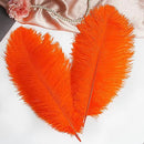 THARAHT Orange Ostrich Feathers 12pcs Large Natural Bulk 12-14Inch 30cm-35cm for Wedding Party Centerpieces Halloween and Home Decoration Feathers by CozyNest Decor