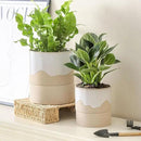 Nihow Self Watering Plant Pot for Indoor Plants: 4.5+6 Inch Ceramic Planter with Drainage Hole & Water Storage Plus - Cylinder Flower Pot with Wick for Herbs -White & Nature by CozyNest Decor