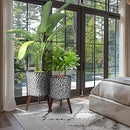 10 & 12 Inches Plant Pot with Stand Set of 2, Large Matte Gray Modern Planters for Indoor Outdoor Plants with Drainage Holes, Big Flower Pots with Wood Legs by CozyNest Decor