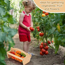 Large Garden Hod Harvest Basket 13 x 9 x 7 Inch, Wooden Harvesting Basket with Handle for Gardening Gathering Gardener Gifts for Wedding Flower Centerpiece Washing Holding Fruits Vegetables by GreenHaven Gardens