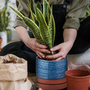 6 Inch Plant Pots, Ceramic Planter Pot with Drainage Hole & Saucer, Indoor/Outdoor Cylinder Round Planter Pot, Aqua Blue & Terracotta Red by CozyNest Decor