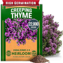 Home Grown Purple Creeping Thyme Seeds – Non-GMO Ground Cover Flowers – 22000+ Edible Herb Seeds for Planting Lawns & Paths – 3g Perennial Thymus serpyllum by GreenHaven Gardens