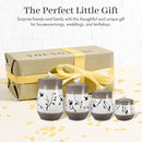 Youngs 21207 Ceramic Canister with Wood Lid and Silicon Seal, Crystal Knob and Blessing Bead Tassel Accent, 4-piece Set by CozyNest Decor