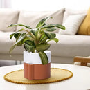 6.5 Inch Self-Watering Planter Pot with Terracotta Insert, Deep Water Reservoir, and Ceramic-Alike BPA-Free Plastic Pot for Plant, Modern Planter for Houseplants, Terracotta/White, 53-B-S-6 by CozyNest Decor