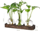YIBOT Propagation Stations,Plant Propagation Vase,Desk Plant Terrarium with Retro Wooden Stand,Plant Lover Gifts for Women for Hydroponics Plants Home Garden Wedding Decor(3 Vase) by GreenHaven Gardens