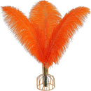 THARAHT Orange Ostrich Feathers 12pcs Large Natural Bulk 12-14Inch 30cm-35cm for Wedding Party Centerpieces Halloween and Home Decoration Feathers by CozyNest Decor