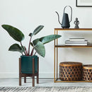 D'vine Dev Ceramic Planter with Walnut Color Stand - 8 Inch Modern Round Flower Pot with Wood Planter Holder, Teal, 55-B-Y-4 by CozyNest Decor