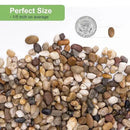 5 lbs Drainage Rocks for Potted Plants, 1/5 Inch Small Pebbles for Indoor Plants, Decorative Gravel for Vases, Bamboo, Succulent, Terrarium, Crafts, Cactus by CozyNest Decor