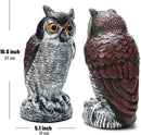Ezoon 3 Pack Owl Decoy to Scare Birds Away, Fake Owl Scarecrows, Pigeon Deterrent, Plastic Owl Statue for Outdoor Garden Yard by GreenHaven Gardens