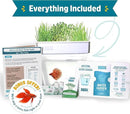 Back to the Roots Indoor Aquaponic Garden - 3 Gallon Self Watering, Mess-Free Planter and Self-Cleaning Fishtank for Herbs, Microgreens, Bamboo, Succulents, and Houseplants, support Fish by GreenHaven Gardens