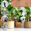 3 Sets Plant Watering Devices Include Terracotta Self Watering Spikes and 26 oz Plastic Bottles, Slow Release Vacation Insert Automatic Plant Waterer Device (Green and Terracotta) by GreenHaven Gardens