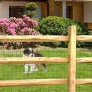 Black PVC Coated Welded Wire Fence 36 Inch x 50 Foot, 2 Inch x 3 Inch 16GA, Garden Border Fencing Roll Vinyl Coating Metal Wire Mesh for Yard Vegetable Plant Protection Poultry Netting by GreenHaven Gardens