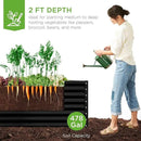 Best Choice Products 8x4x2ft Outdoor Metal Raised Garden Bed, Deep Root Planter Box for Vegetables, Flowers, Herbs, and Succulents w/ 478 Gallon Capacity - Black by GreenHaven Gardens