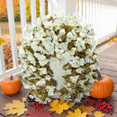 Bougainvillea Artificial Flowers Plants for Outdoors Outside Fall Autumn Decoration, 2 pcs Faux Silk Long Trailing Vines UV Resistant Look Real White Fake Flowers for Front Door Porch Planter Urn Yard by CozyNest Decor