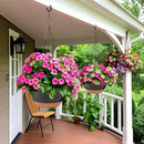 2 Pack 12 Inch Large Hanging Planters with Chains Self Watering Black Brown Plastic Hanging Pots for Indoor Outdoor Plants, Garden Porch Home Decor，Black Brown by CozyNest Decor