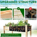 BSP Raised Garden Bed with Legs Outdoor Elevated Planter Box Flower Bed Wood Planter for Vegetable Herb Upgraded Solid Structure Growing Box Suitable for Backyard Patio and Balcony, 48”L X 24”W by CozyNest Decor