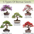 Bonsai Tree Kit – 5X Unique Japanese Bonzai Trees | Complete Indoor Bonsai Starter Kit for Growing Bonsai Plants with Tools & Planters – Gardening Gifts for Women & Men by GreenHaven Gardens